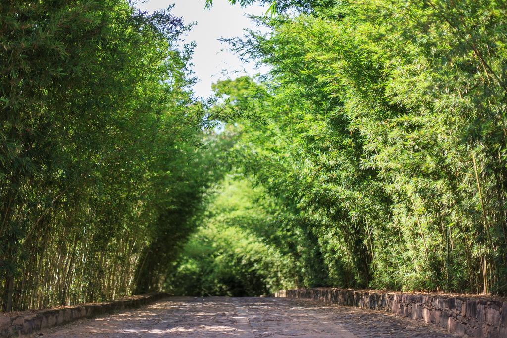 Pousada Bosque Do Lapao Ленсойс Екстериор снимка